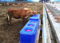 Abreuvoirs en plastique automatiques de bétail d'écoulement continu pour le rotomoulage d'abreuvoir