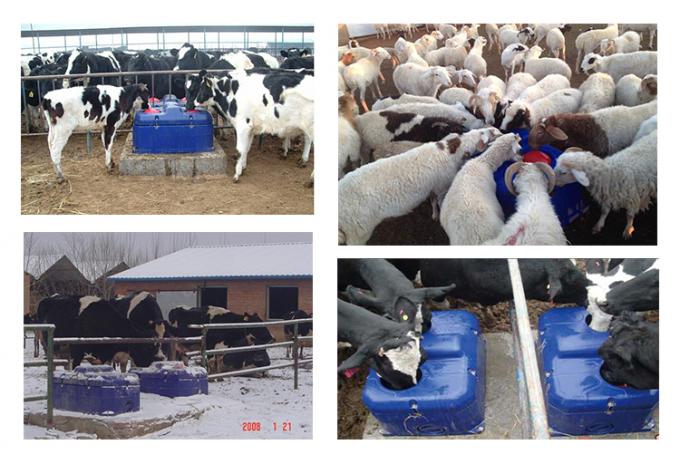 Frost équipement antigel automatique d'exploitation d'élevage de cuvette de buveur de chèvre de moutons de bétail de cuvette/vache libre/chaleur d'eau potable